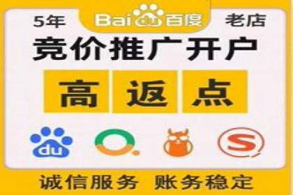 信息流广告投放公司：成功案例解析